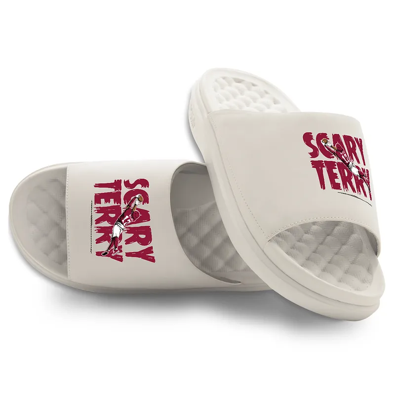 Terry McLaurin ScaryTerry Slides